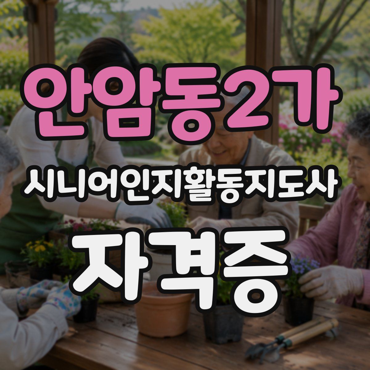 안암동2가 시니어인지활동지도사 자격증