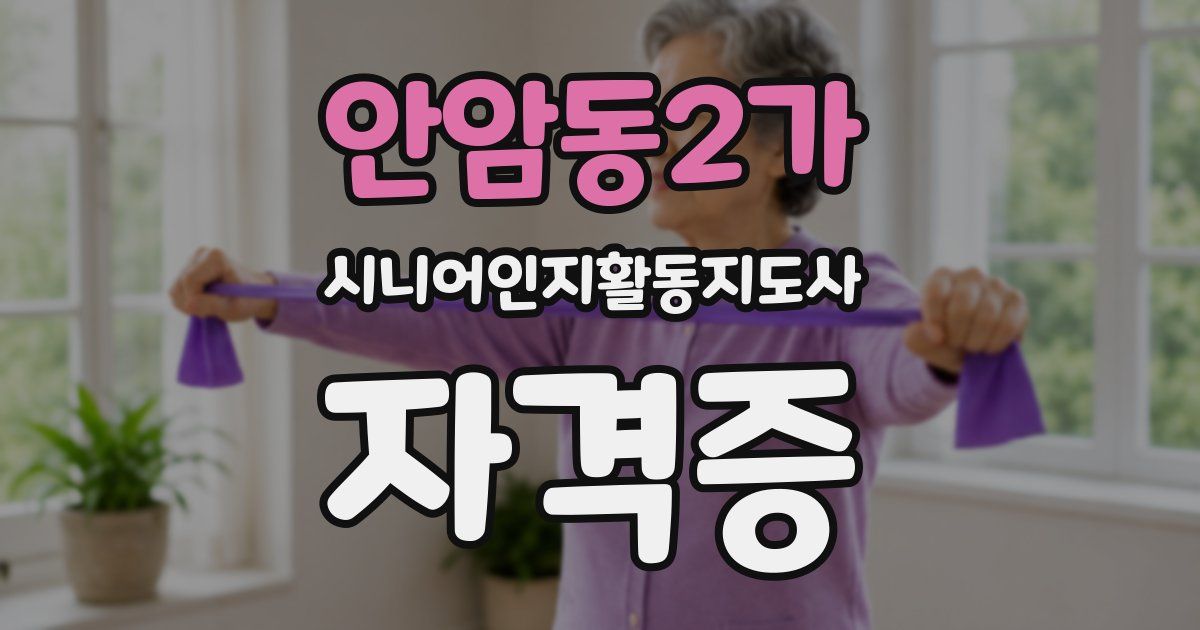안암동2가 시니어인지활동지도사 자격증