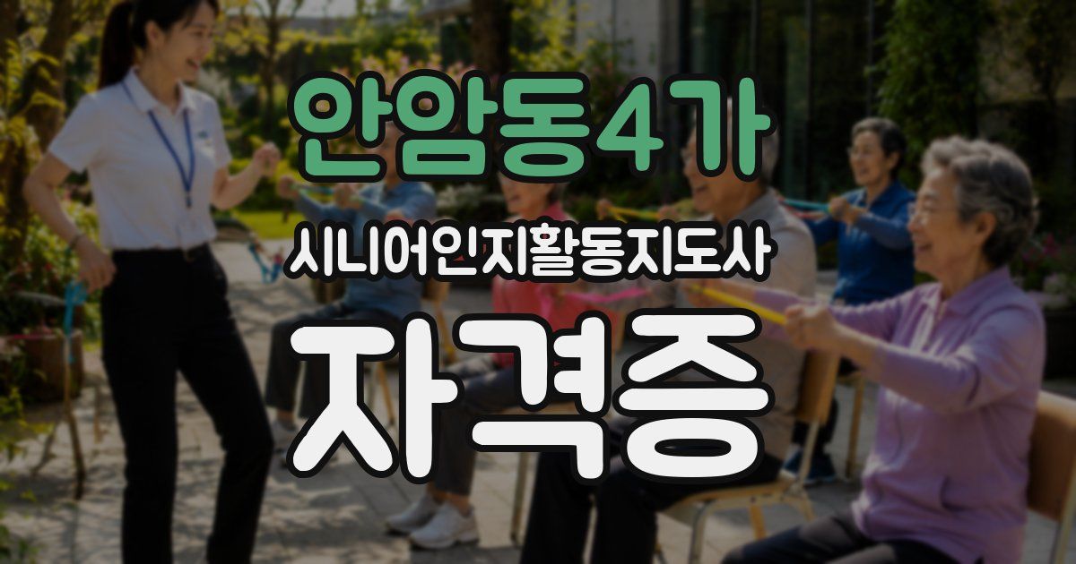 안암동4가 시니어인지활동지도사 자격증