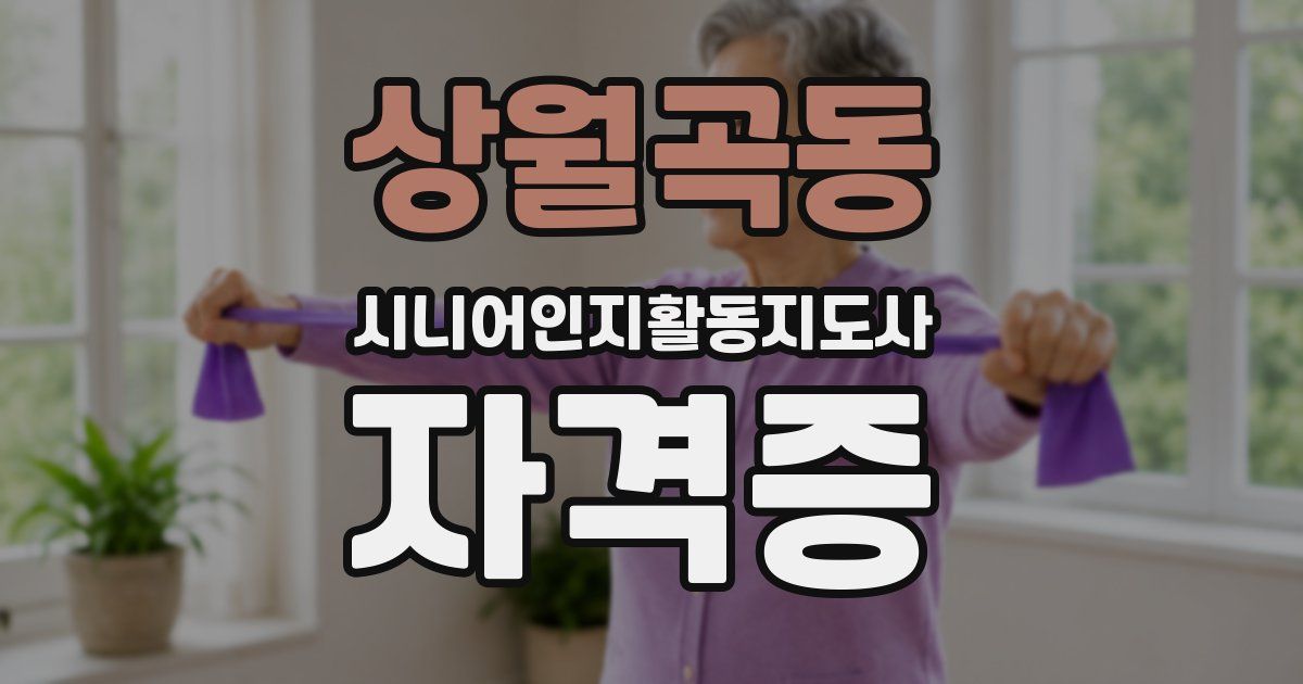 상월곡동 시니어인지활동지도사 자격증