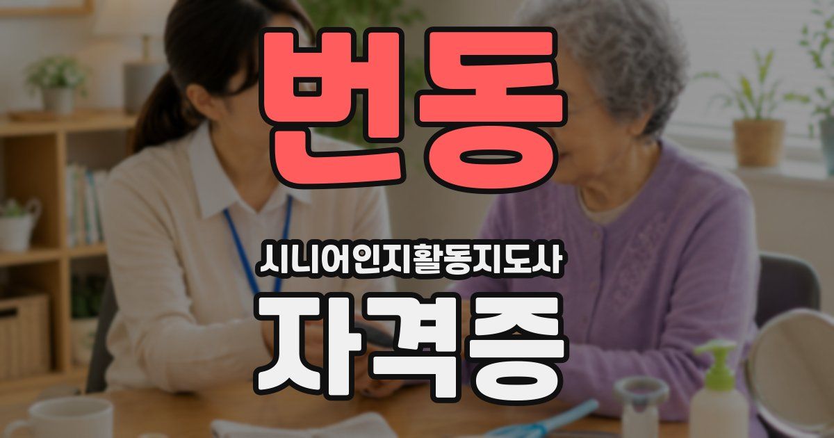 번동 시니어인지활동지도사 자격증