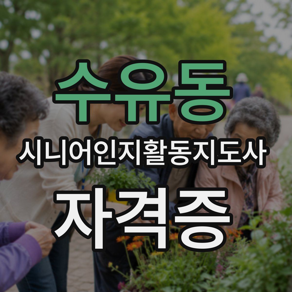 수유동 시니어인지활동지도사 자격증