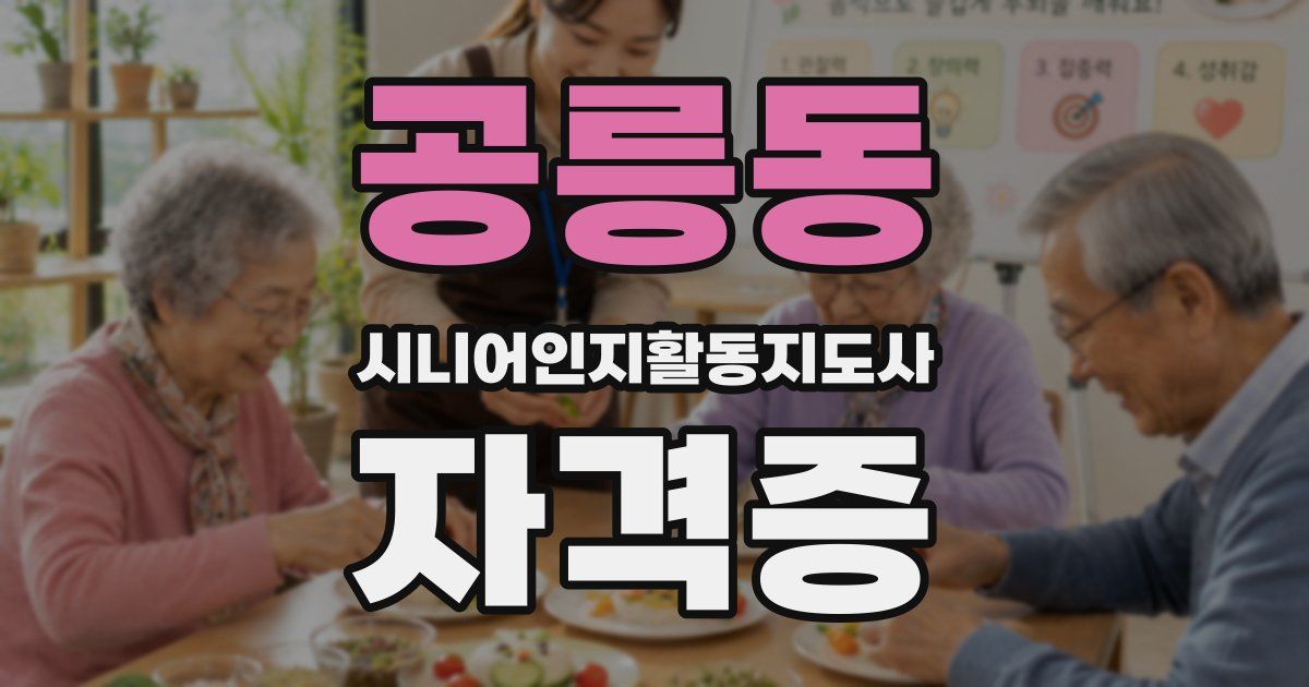 공릉동 시니어인지활동지도사 자격증