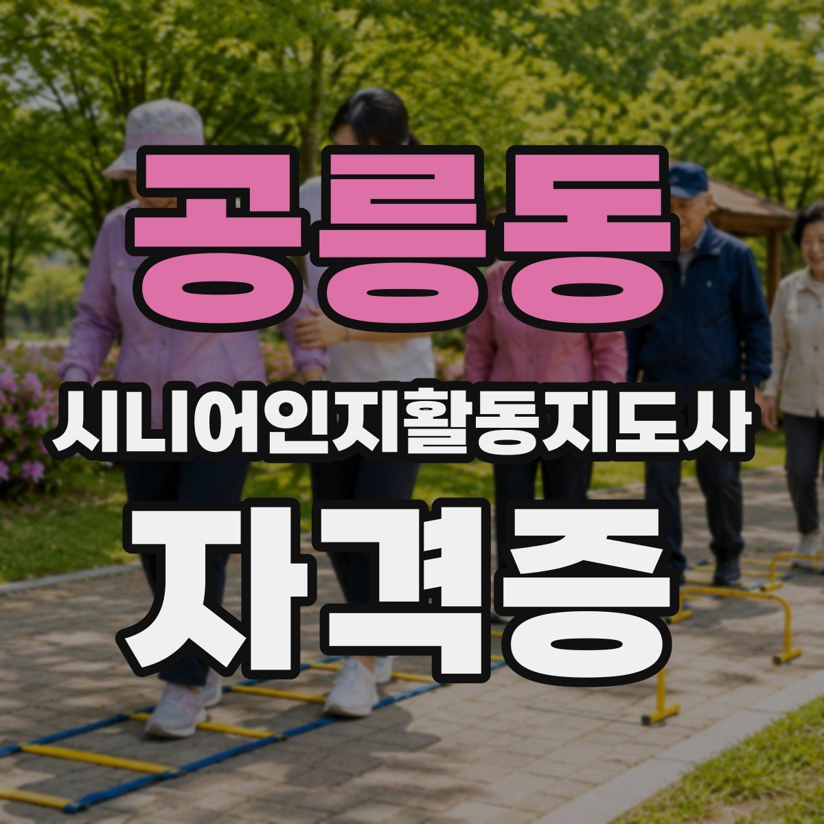 공릉동 시니어인지활동지도사 자격증