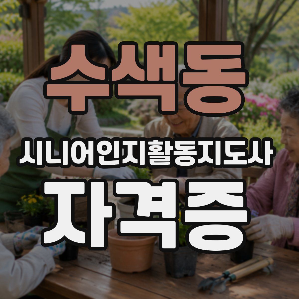 수색동 시니어인지활동지도사 자격증
