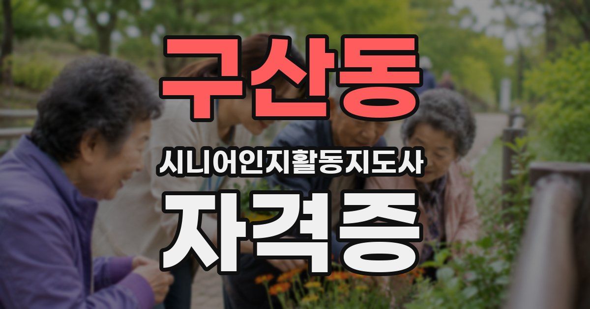 구산동 시니어인지활동지도사 자격증