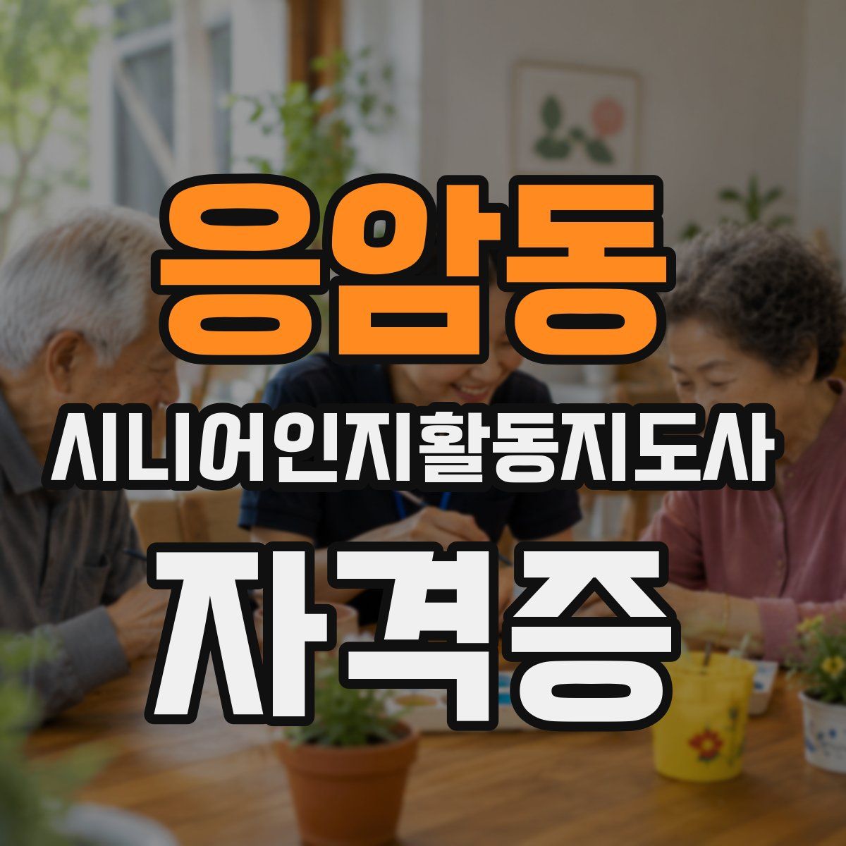 응암동 시니어인지활동지도사 자격증