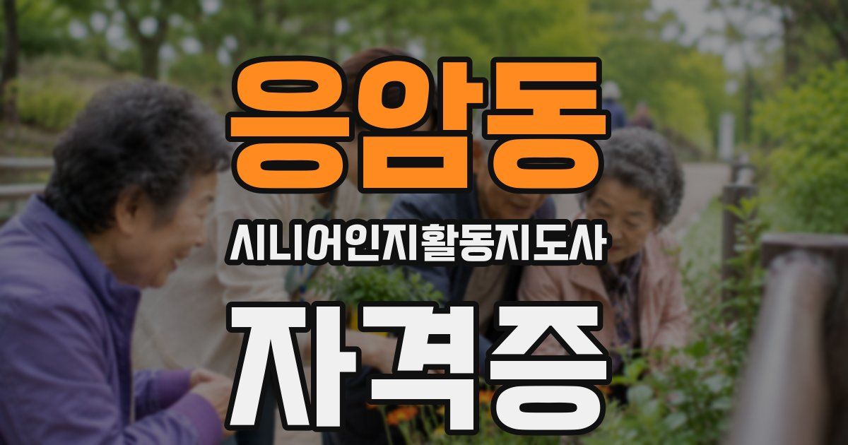응암동 시니어인지활동지도사 자격증