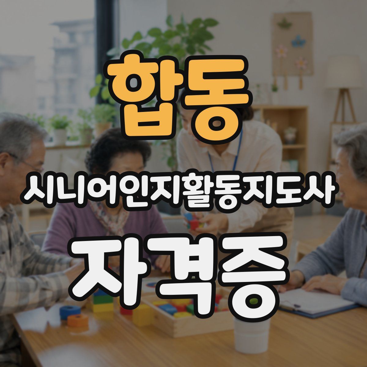 합동 시니어인지활동지도사 자격증