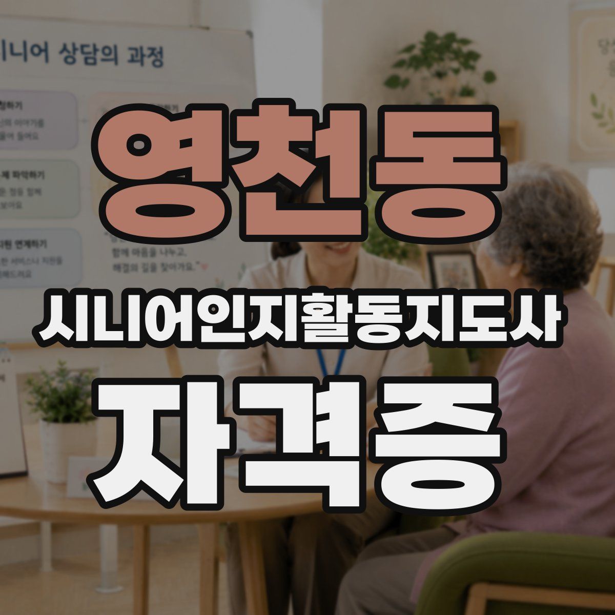 영천동 시니어인지활동지도사 자격증