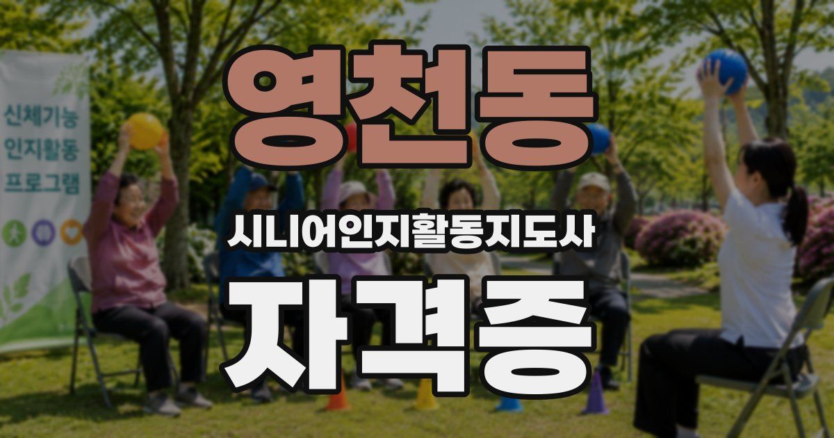 영천동 시니어인지활동지도사 자격증