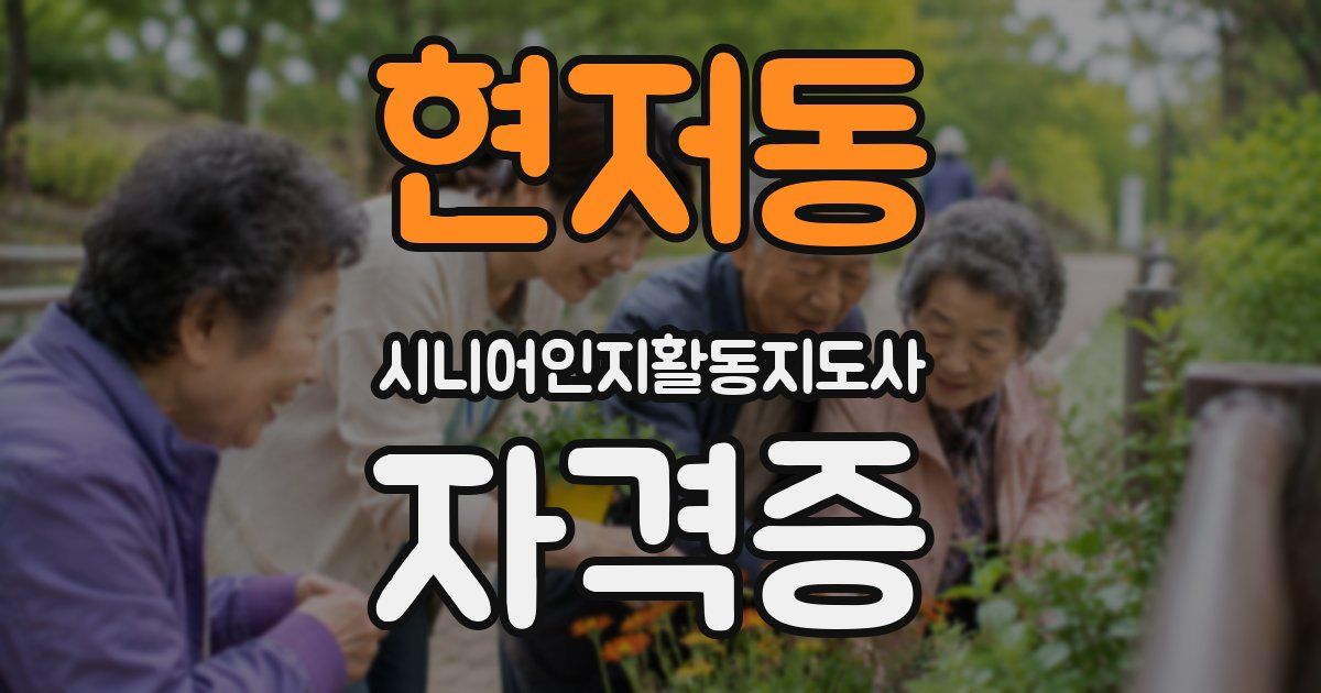 현저동 시니어인지활동지도사 자격증