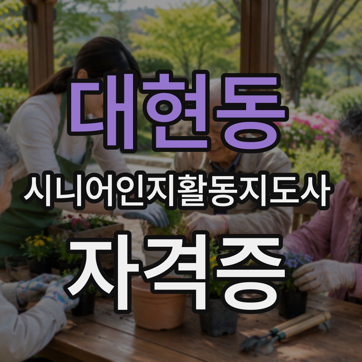 대현동 시니어인지활동지도사 자격증