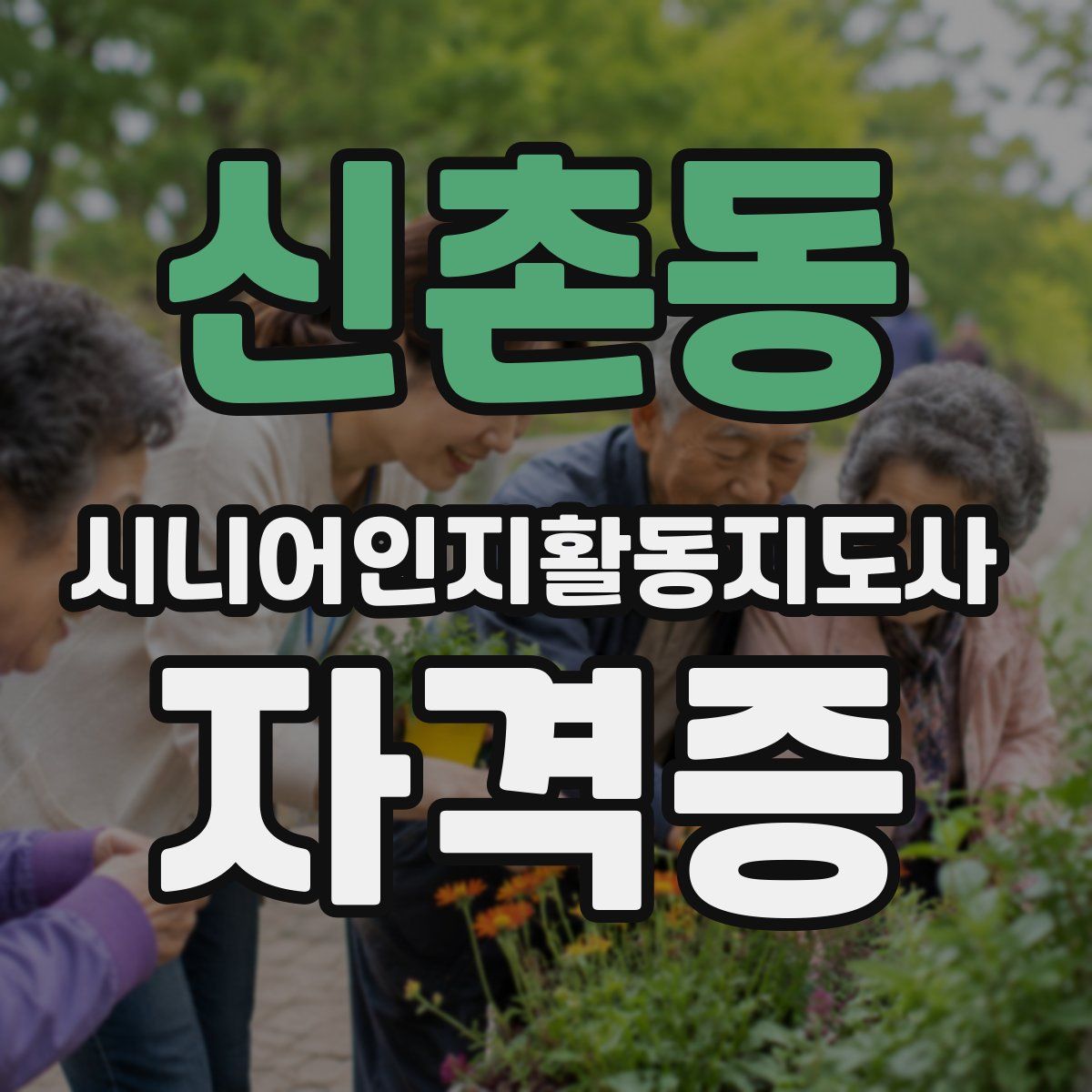 신촌동 시니어인지활동지도사 자격증