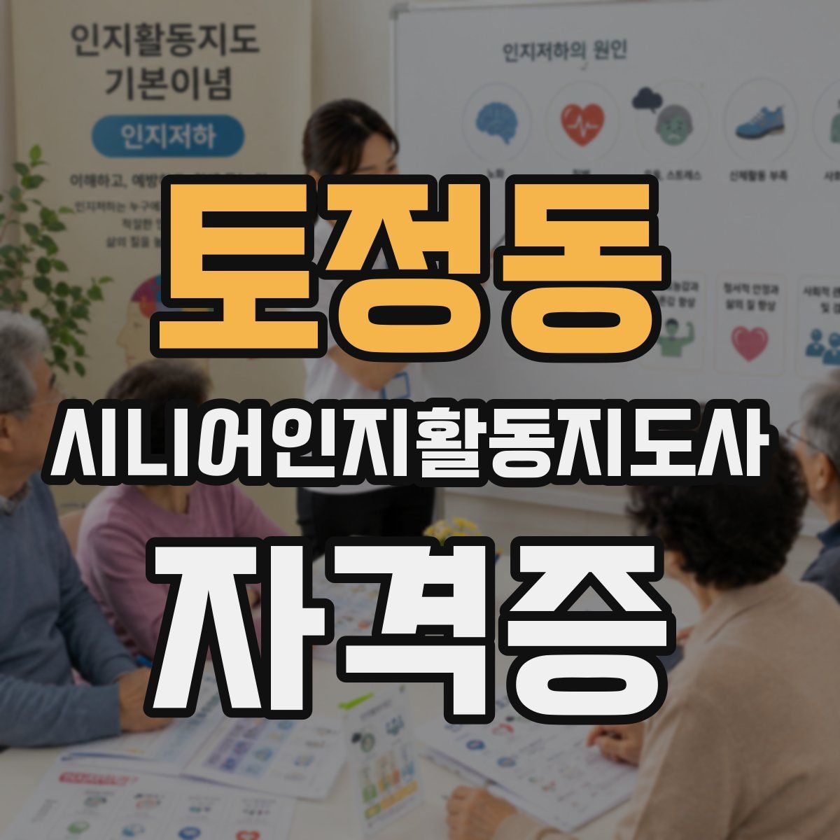 토정동 시니어인지활동지도사 자격증