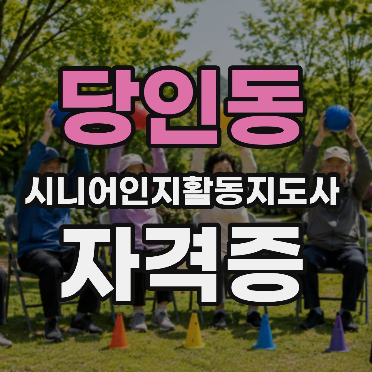 당인동 시니어인지활동지도사 자격증