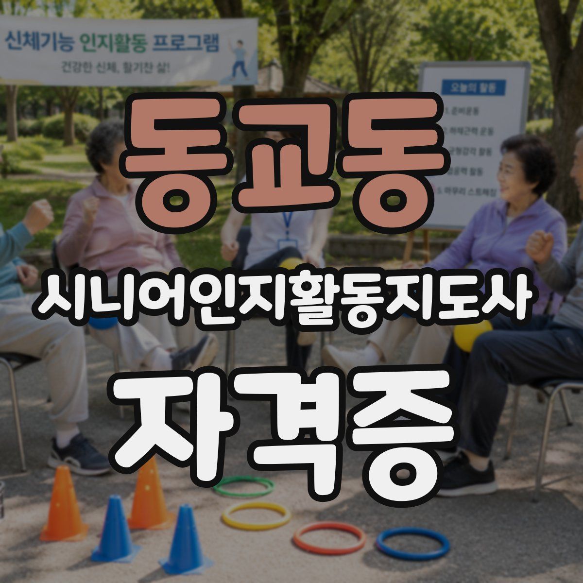 동교동 시니어인지활동지도사 자격증