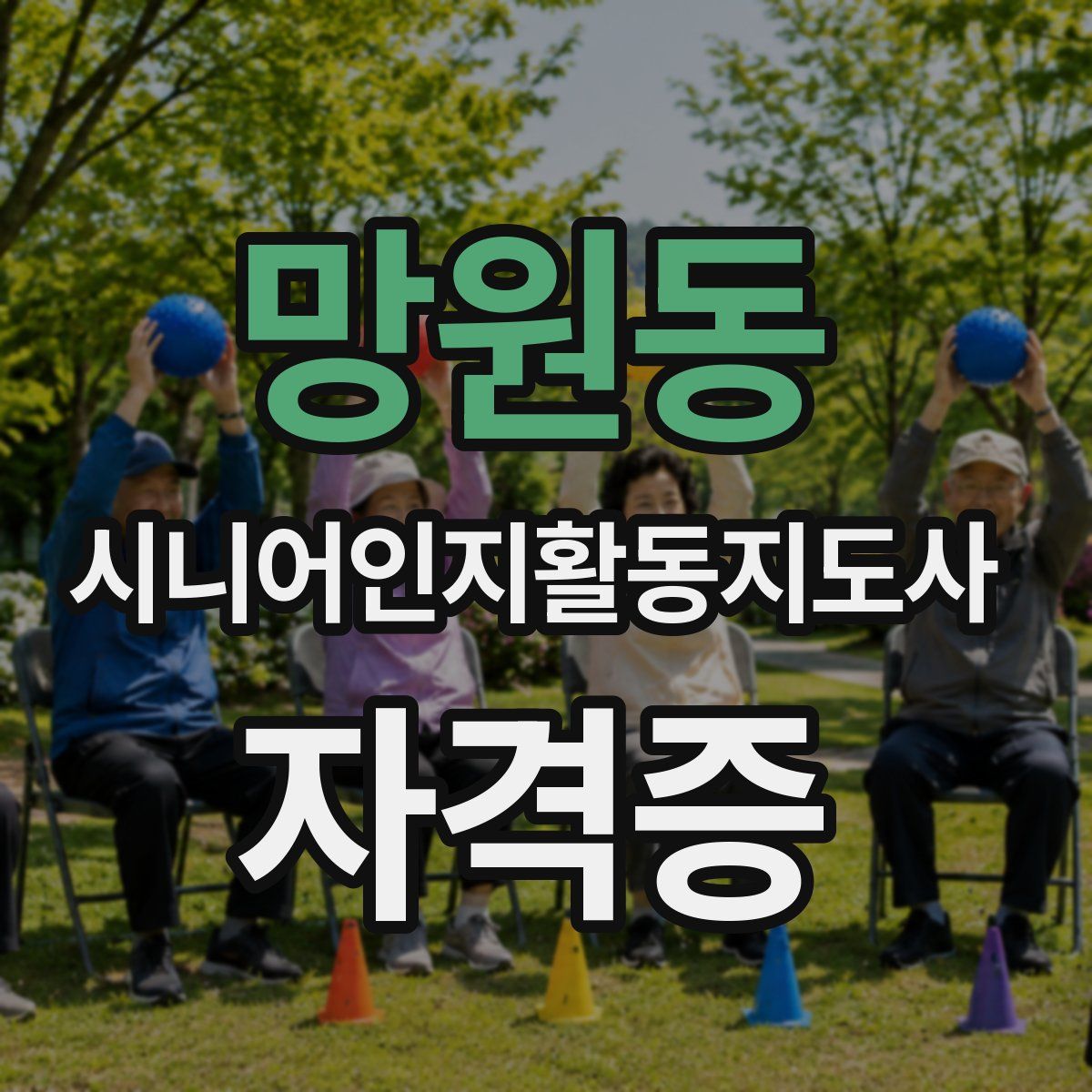 망원동 시니어인지활동지도사 자격증