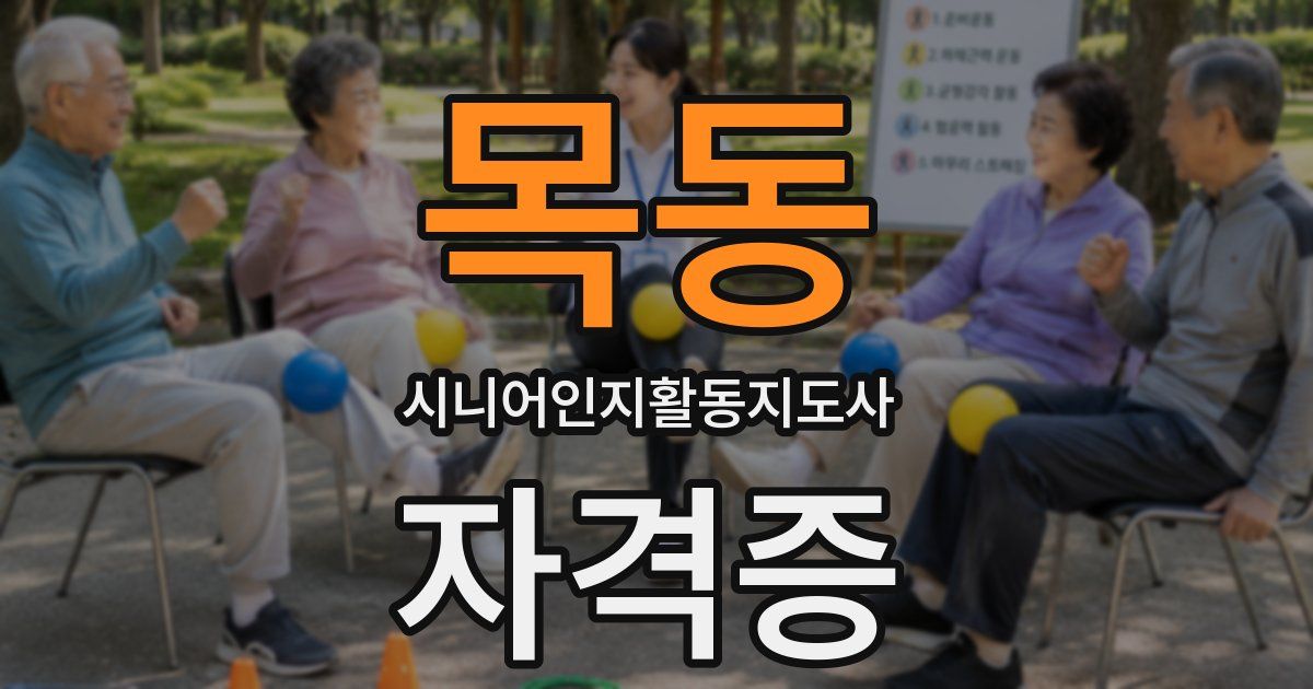 목동 시니어인지활동지도사 자격증