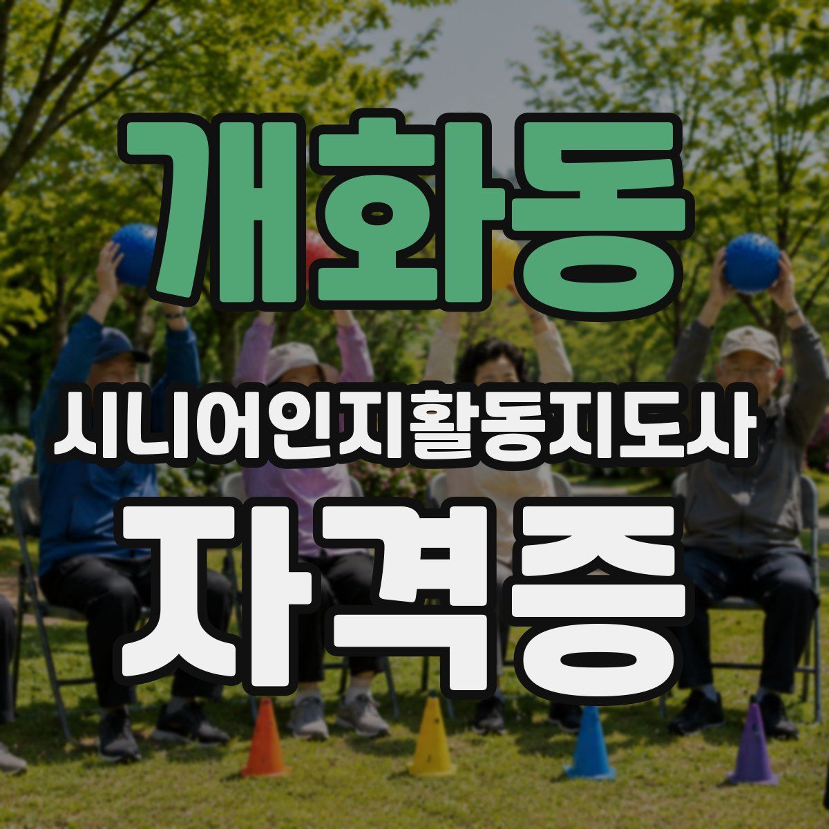 개화동 시니어인지활동지도사 자격증