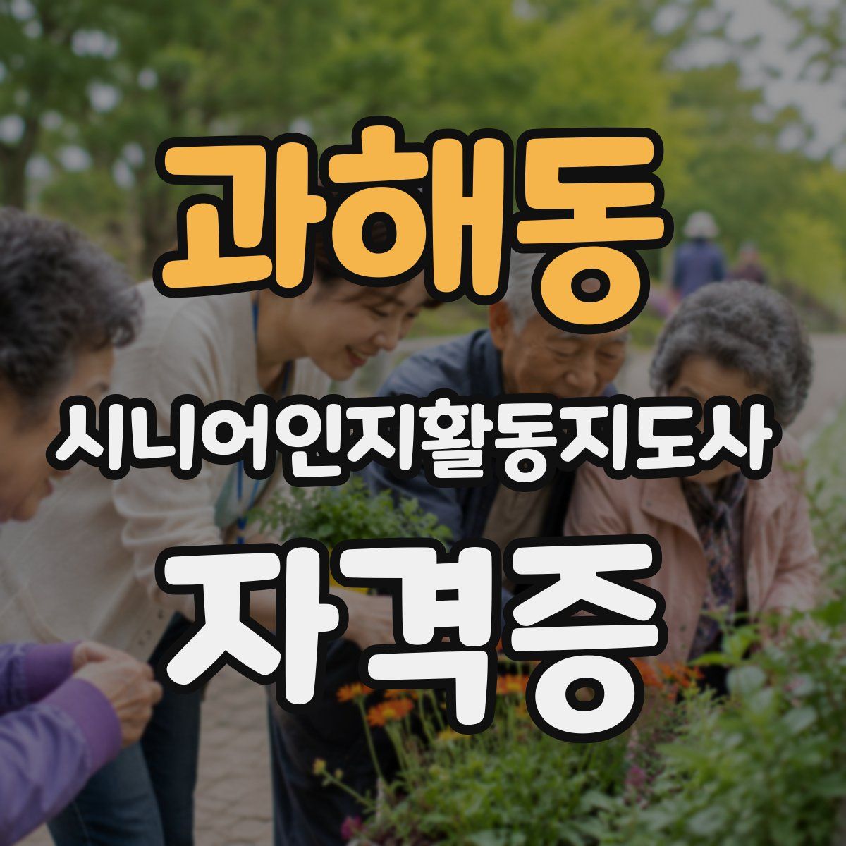 과해동 시니어인지활동지도사 자격증