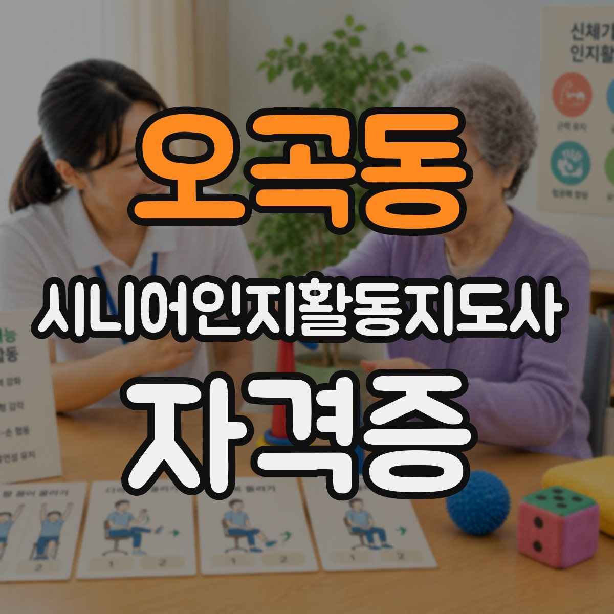 오곡동 시니어인지활동지도사 자격증