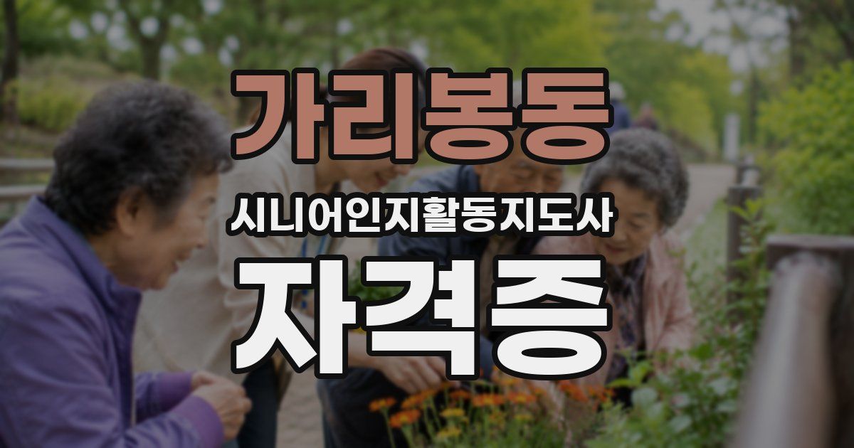 가리봉동 시니어인지활동지도사 자격증