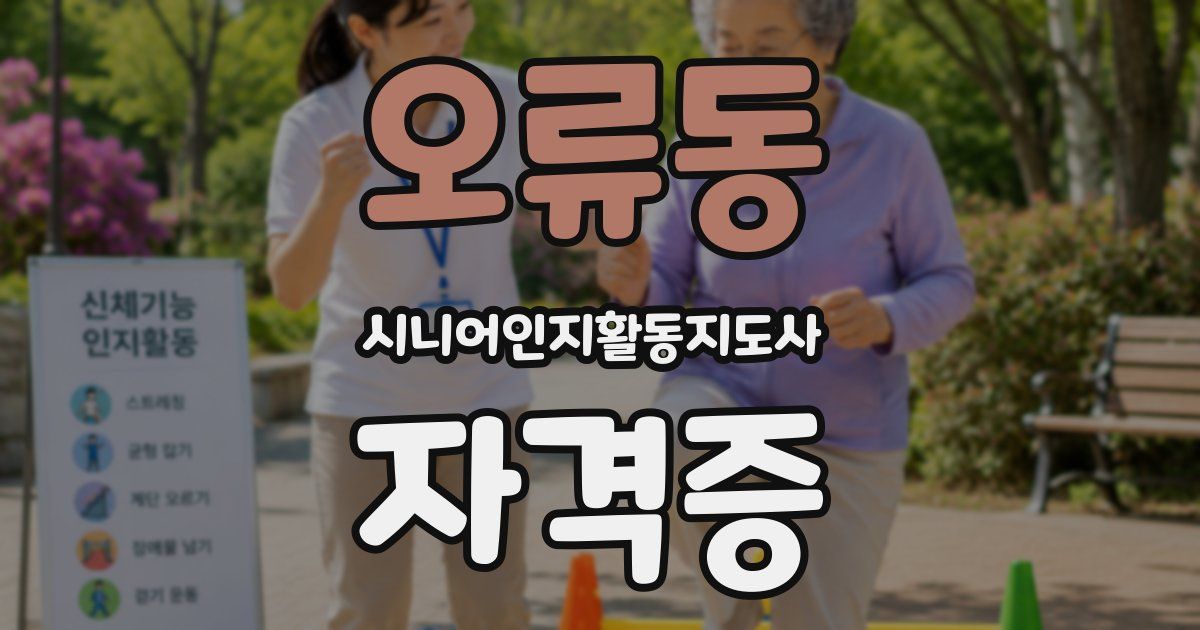 오류동 시니어인지활동지도사 자격증