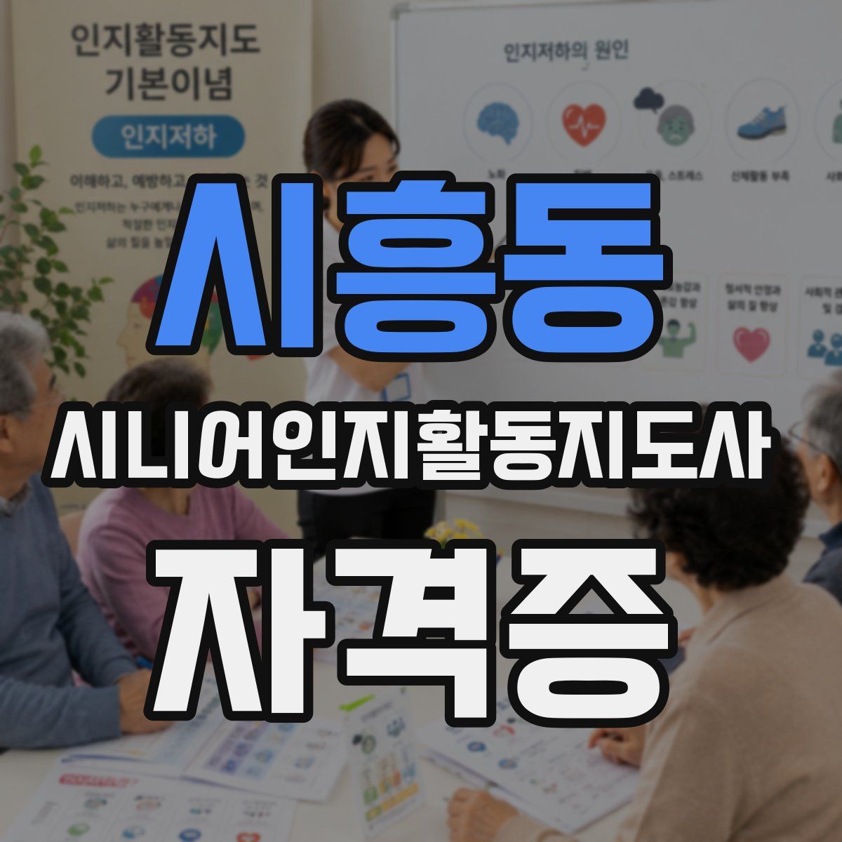 시흥동 시니어인지활동지도사 자격증