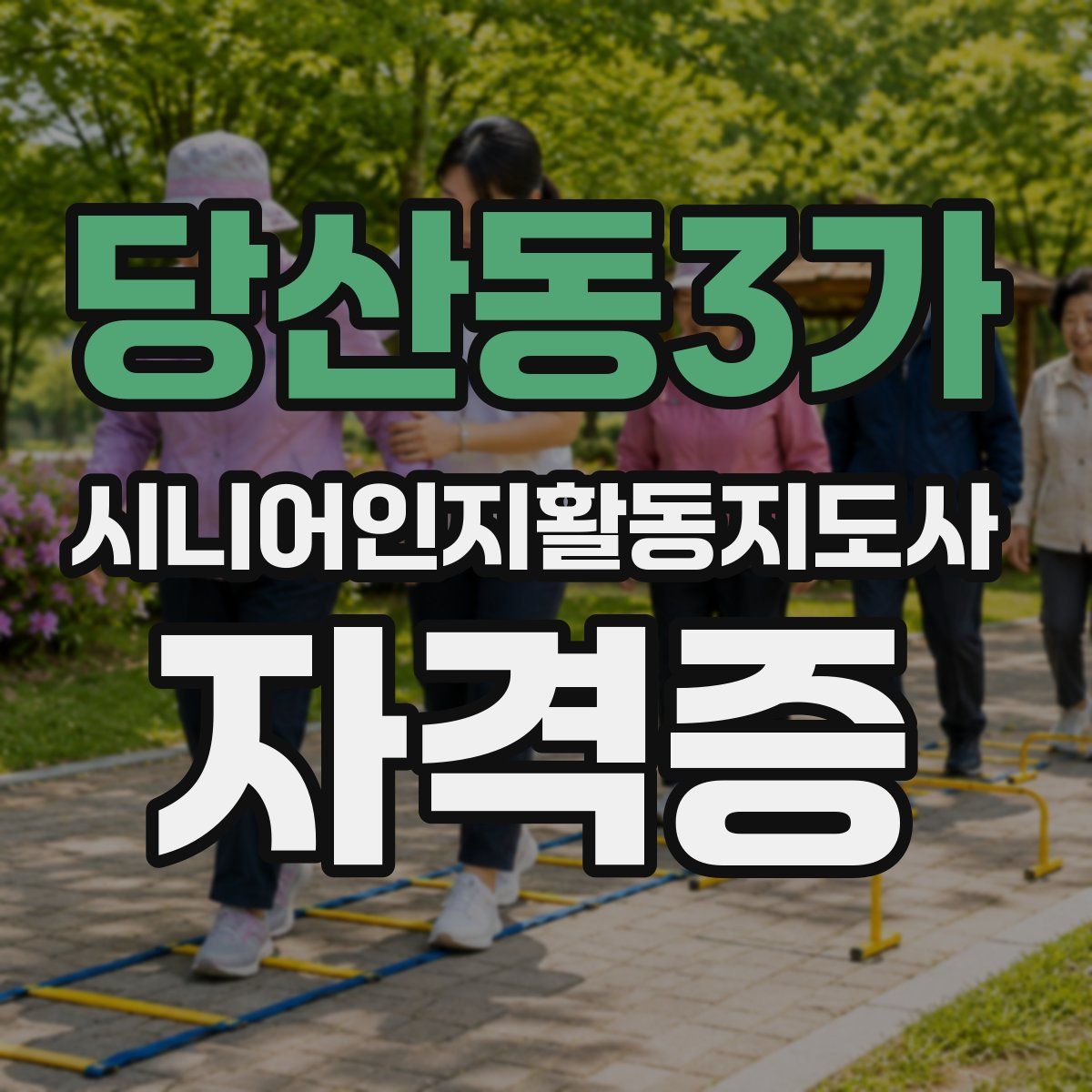 당산동3가 시니어인지활동지도사 자격증