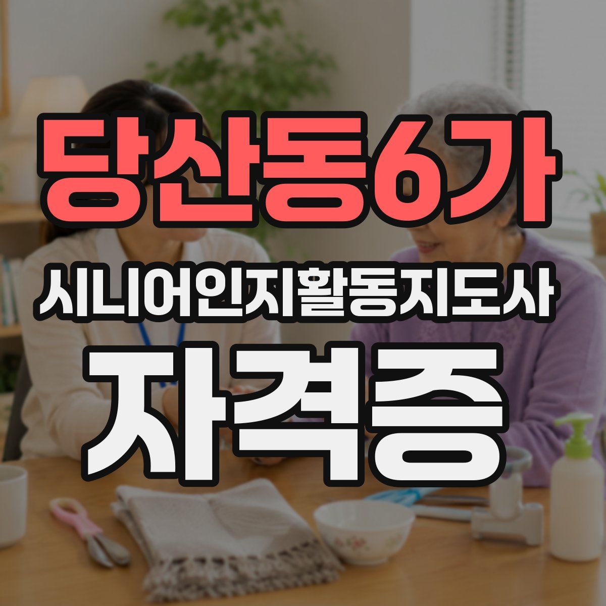 당산동6가 시니어인지활동지도사 자격증