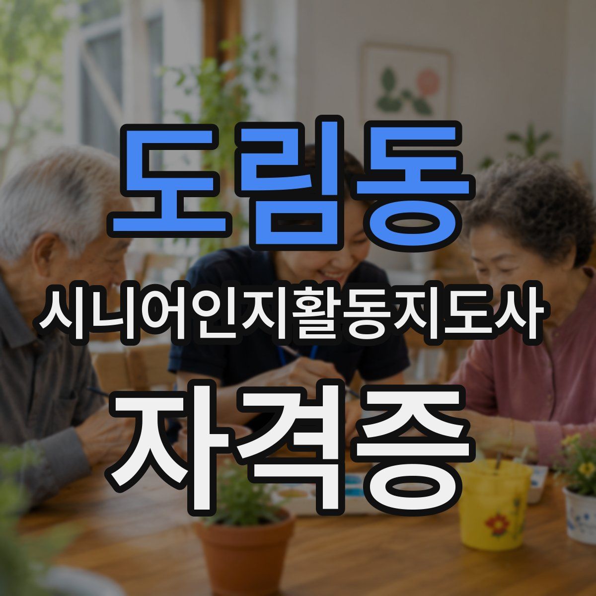 도림동 시니어인지활동지도사 자격증