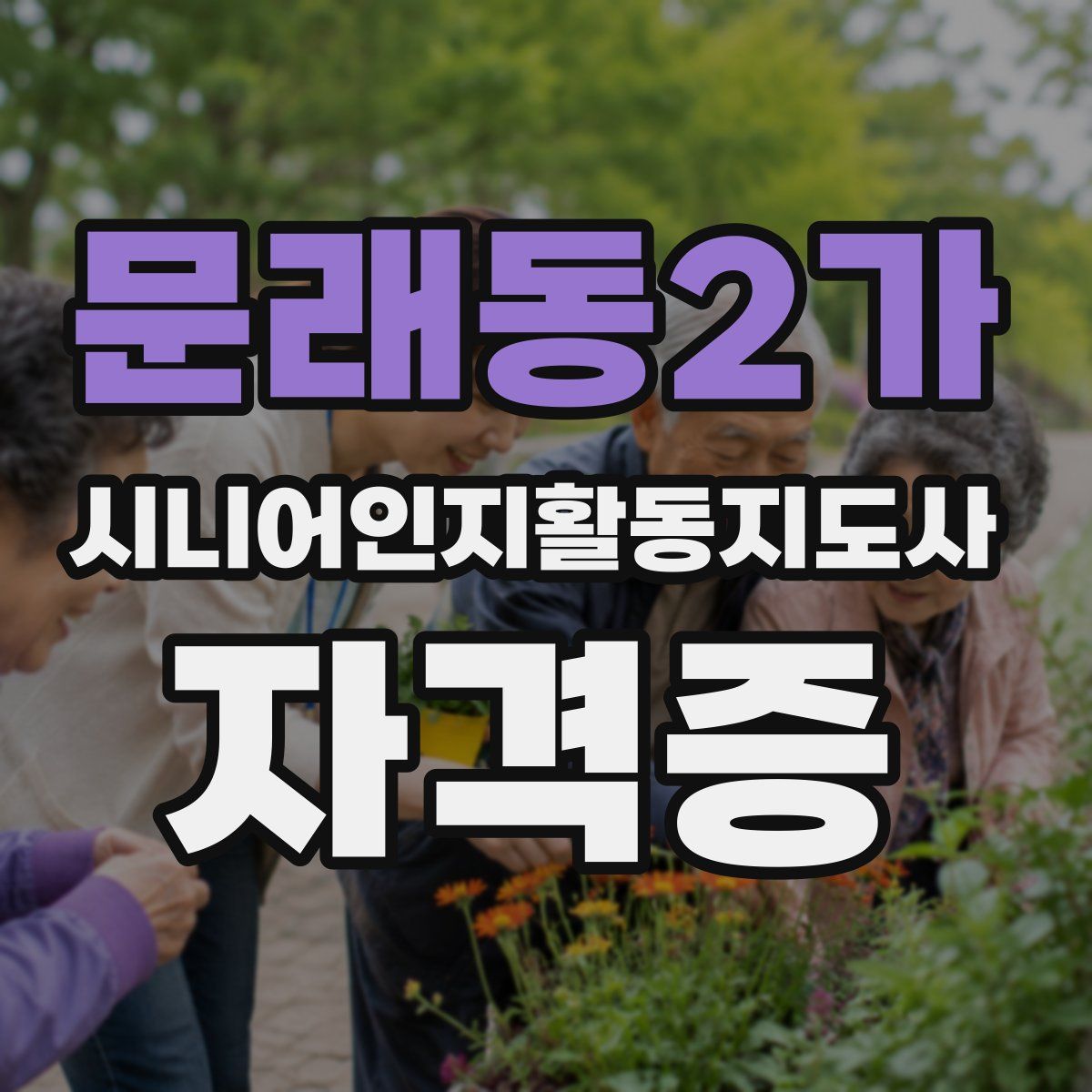 문래동2가 시니어인지활동지도사 자격증