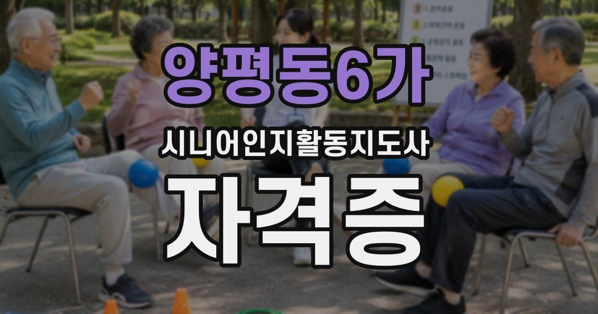 양평동6가 시니어인지활동지도사 자격증