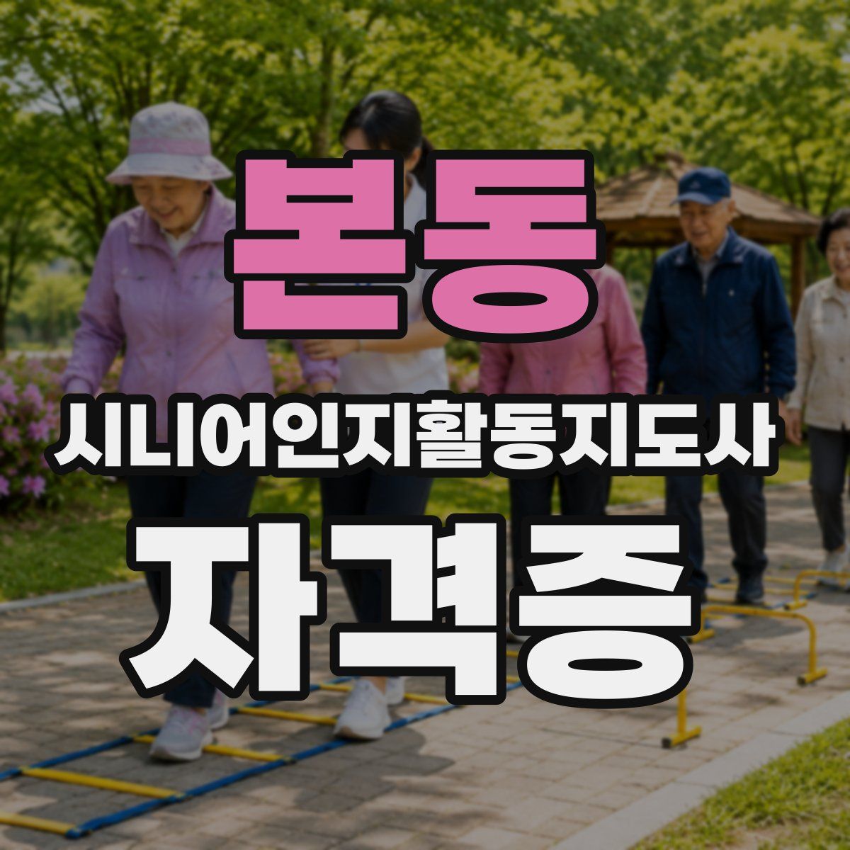 본동 시니어인지활동지도사 자격증