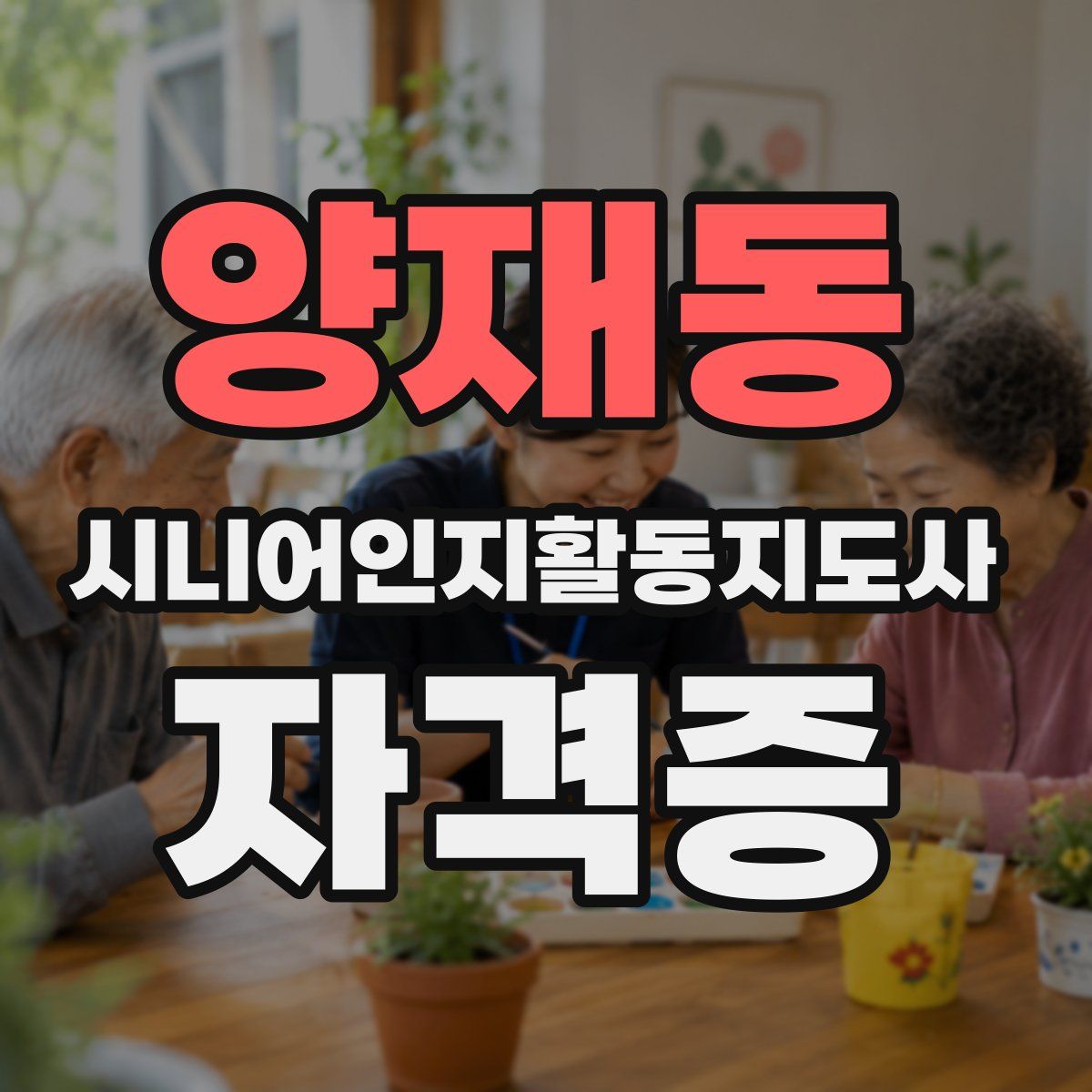 양재동 시니어인지활동지도사 자격증