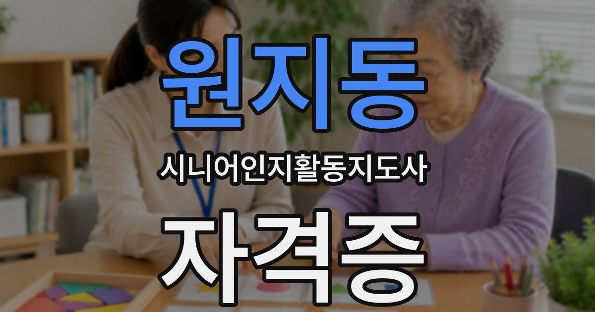 원지동 시니어인지활동지도사 자격증