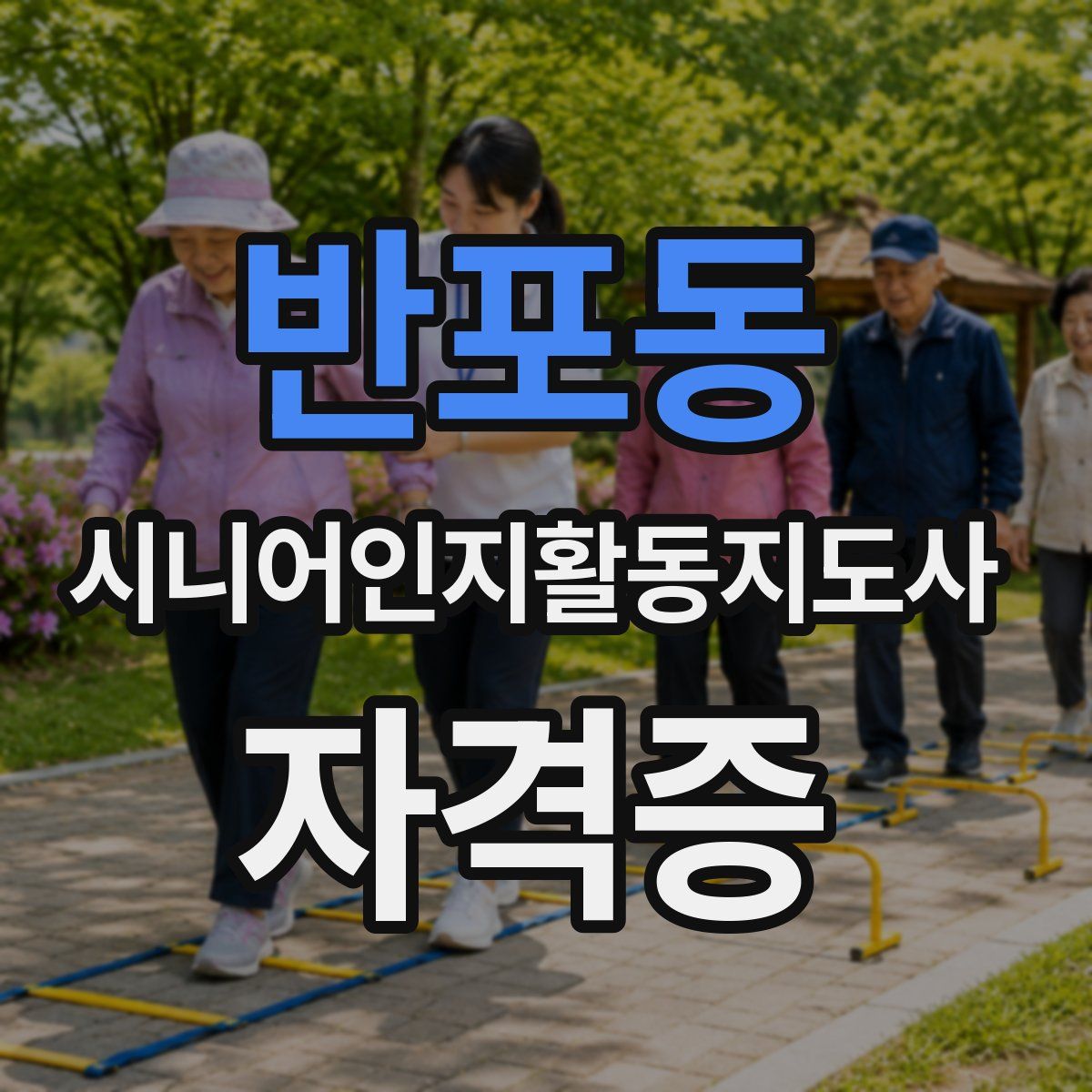 반포동 시니어인지활동지도사 자격증