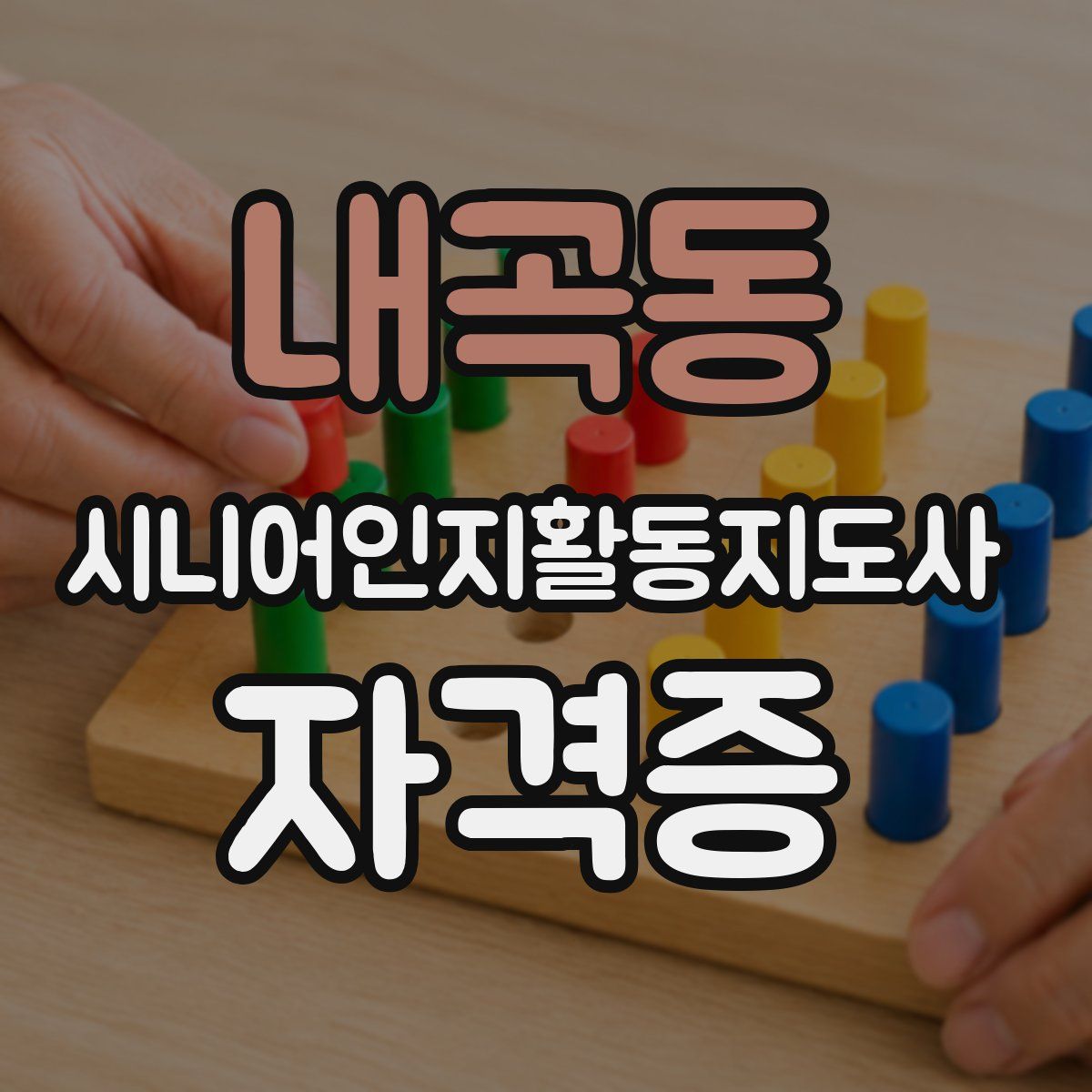 내곡동 시니어인지활동지도사 자격증