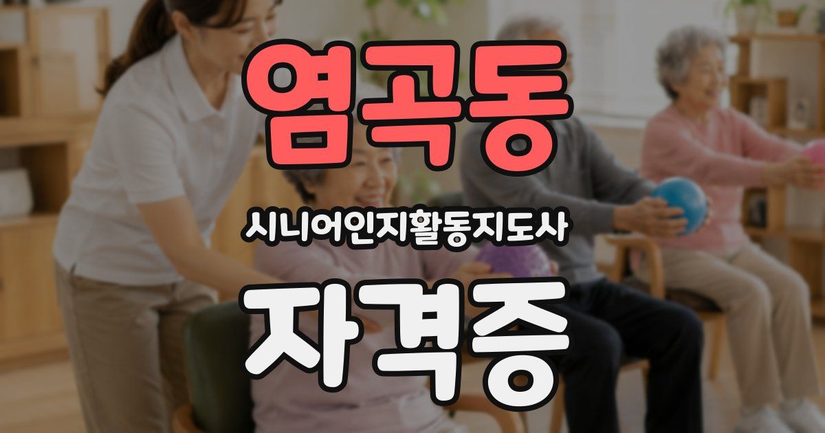 염곡동 시니어인지활동지도사 자격증