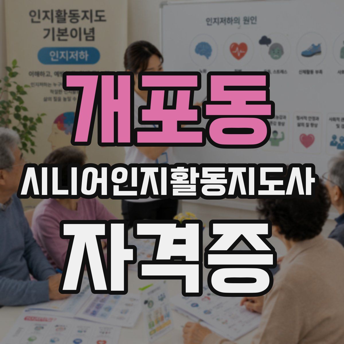 개포동 시니어인지활동지도사 자격증