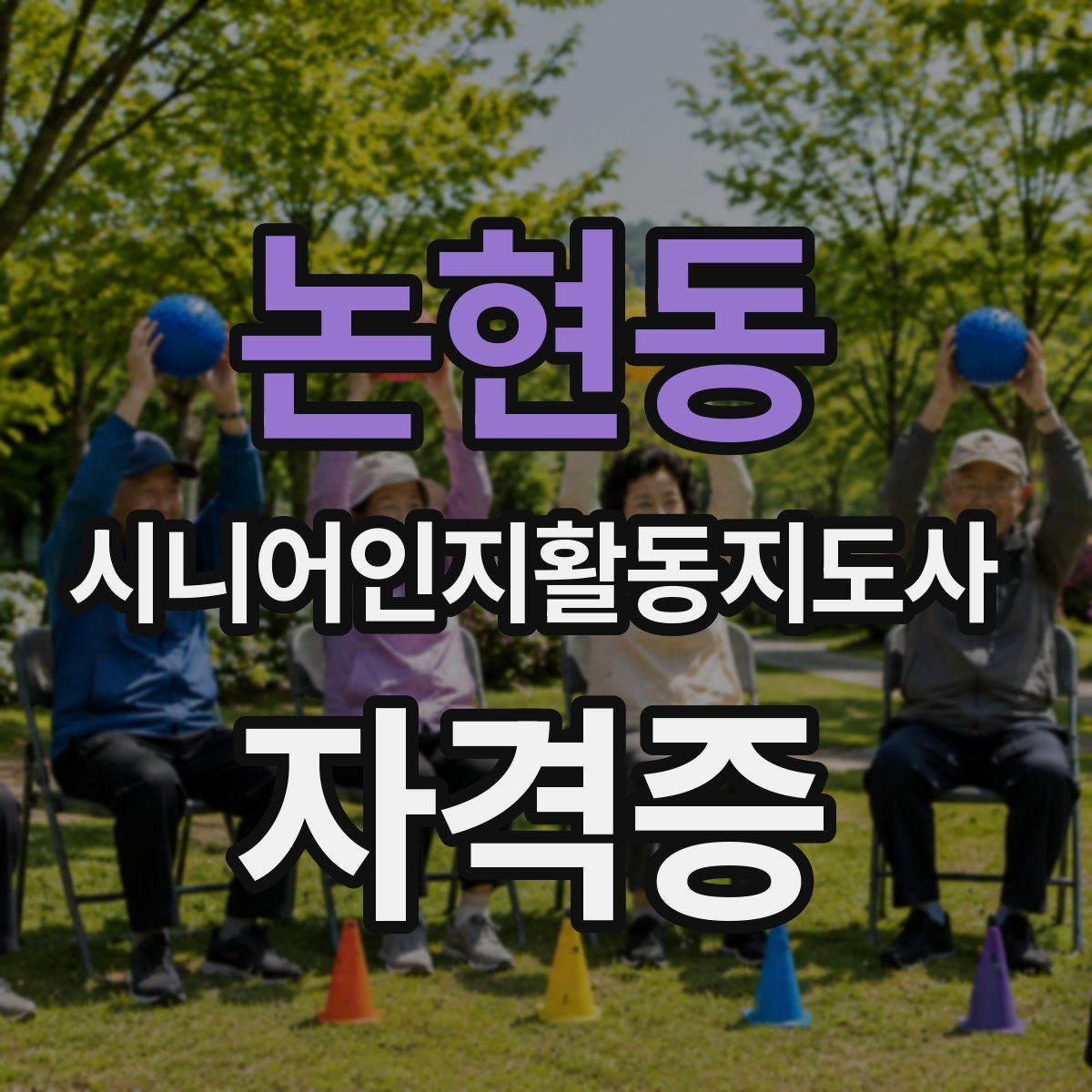 논현동 시니어인지활동지도사 자격증