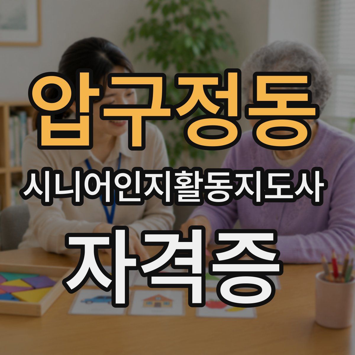 압구정동 시니어인지활동지도사 자격증