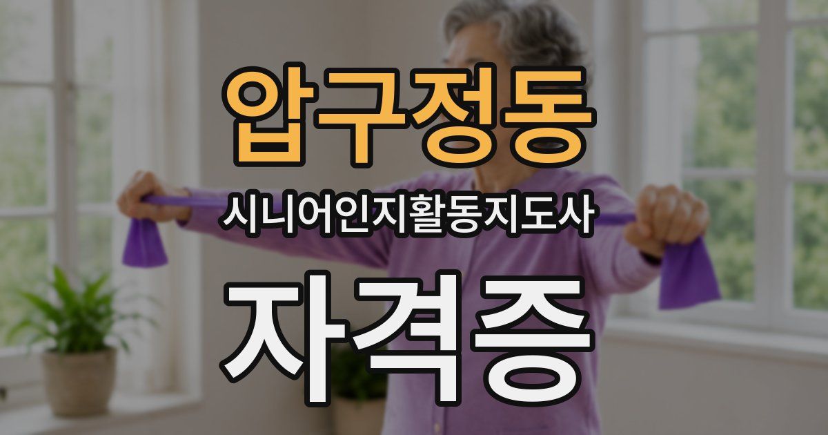 압구정동 시니어인지활동지도사 자격증