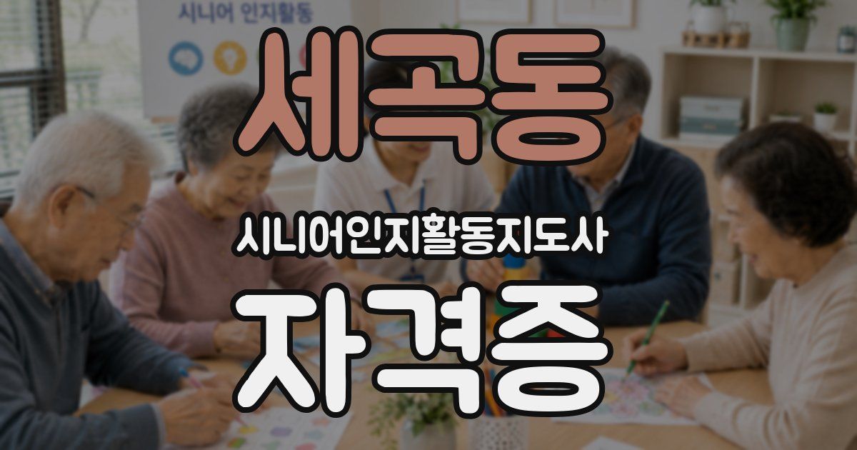 세곡동 시니어인지활동지도사 자격증