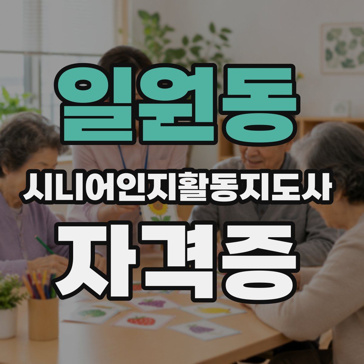 일원동 시니어인지활동지도사 자격증