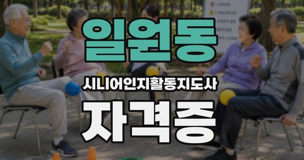 일원동 시니어인지활동지도사 자격증