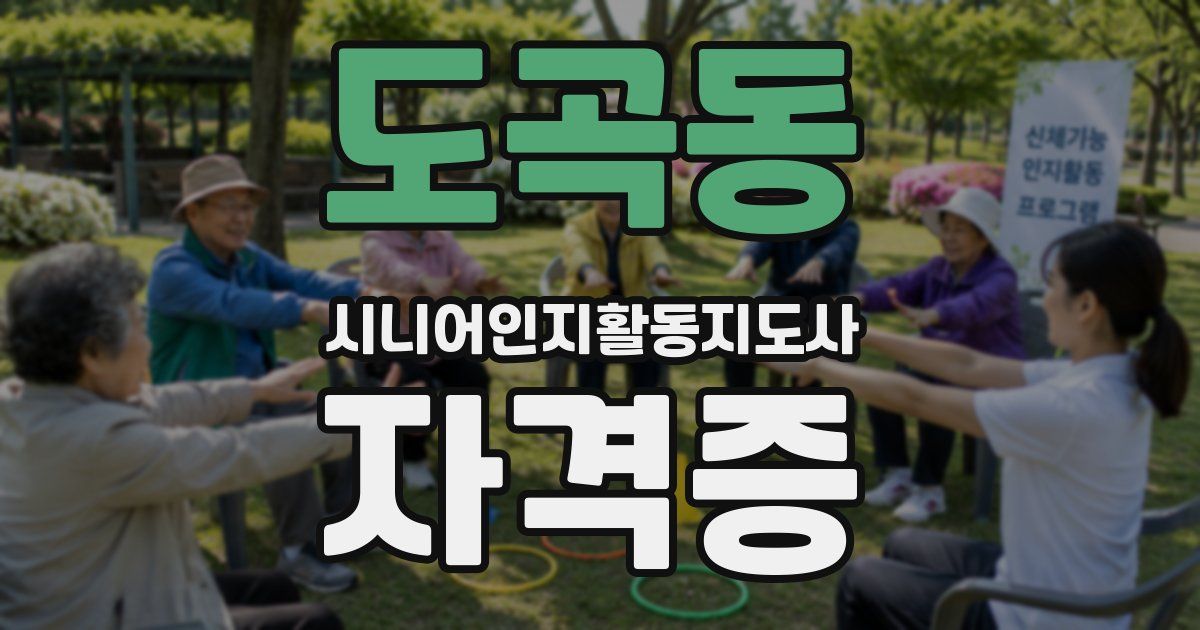 도곡동 시니어인지활동지도사 자격증