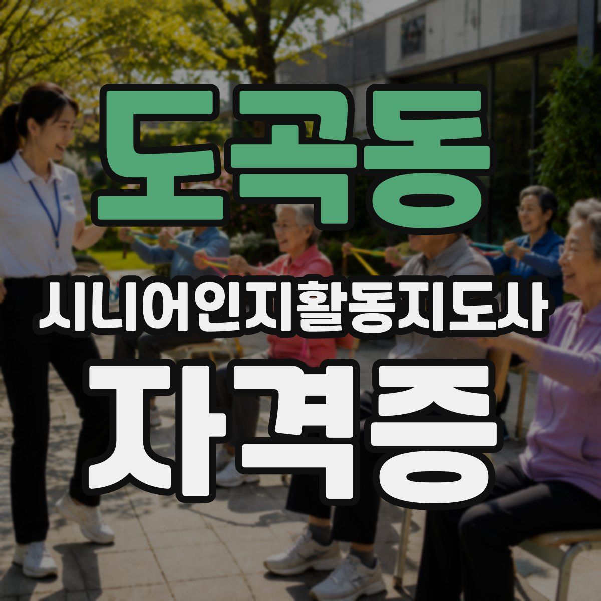 도곡동 시니어인지활동지도사 자격증