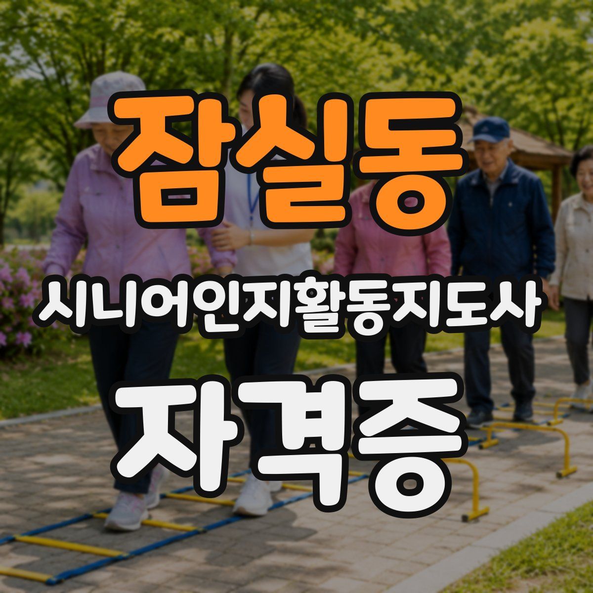 잠실동 시니어인지활동지도사 자격증